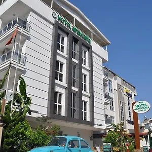 Hotel Araucaria